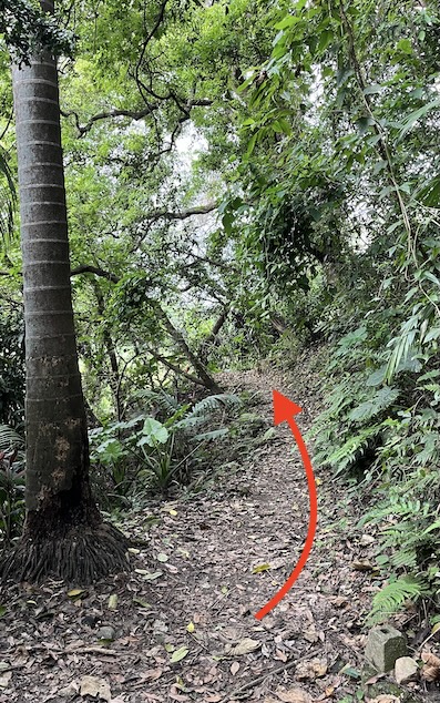 Yushan Water Shrine Trail
