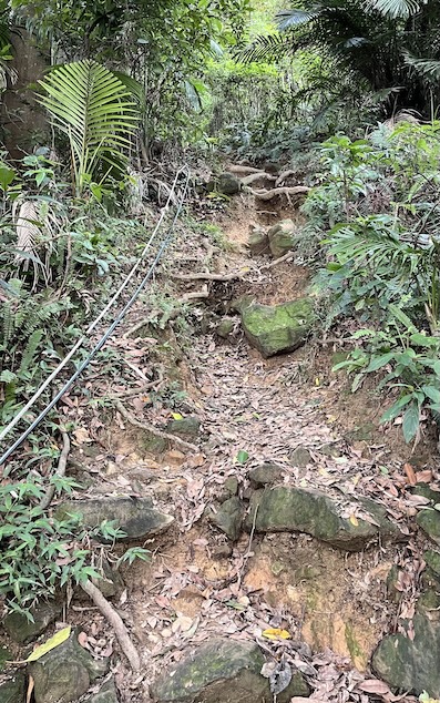 Yushan Water Shrine trail