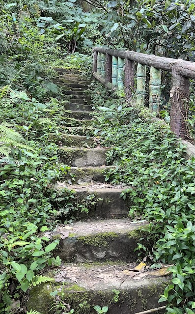 stone stairs