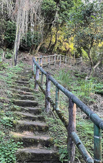 Yuanshan Water Shrine trails