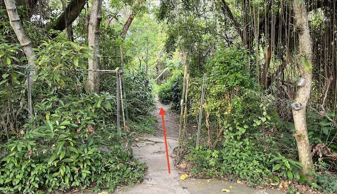 Jiantan Mountain Trail