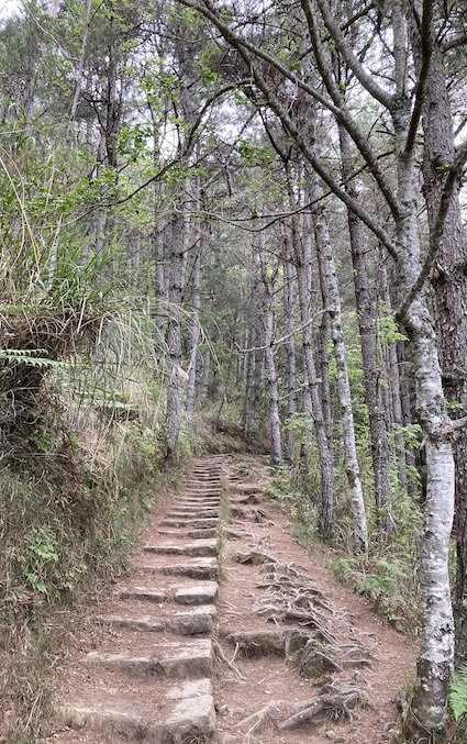 The Ultimate Xueshan (Snow Mountain) Hiking Guide: Permits, Transport & 1–3 Day Itineraries (2026 Edition) 32 Trailhead to Qika