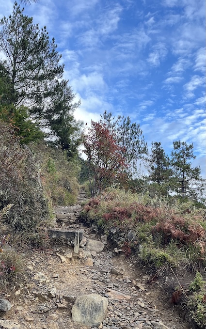 The Ultimate Xueshan (Snow Mountain) Hiking Guide: Permits, Transport & 1–3 Day Itineraries (2026 Edition) 37 36 Qika to East Peak