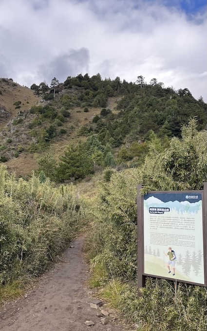 The Ultimate Xueshan (Snow Mountain) Hiking Guide: Permits, Transport & 1–3 Day Itineraries (2026 Edition) 41 Ku Slope (Ku Po)