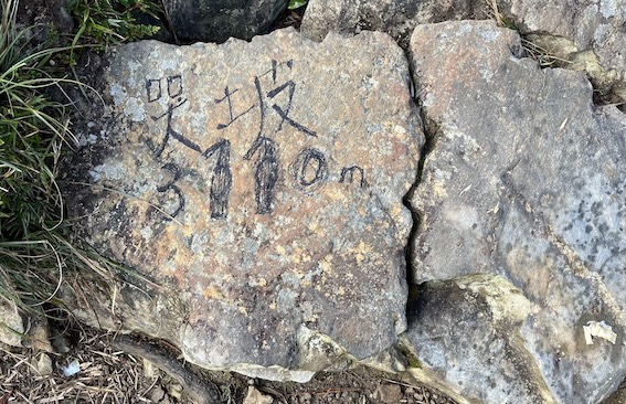 The Ultimate Xueshan (Snow Mountain) Hiking Guide: Permits, Transport & 1–3 Day Itineraries (2026 Edition) 43 Ku Po (Ku Slope)