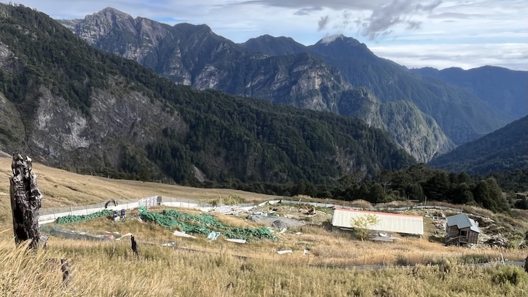 The Ultimate Xueshan (Snow Mountain) Hiking Guide: Permits, Transport & 1–3 Day Itineraries (2026 Edition) 60 369 Campsite