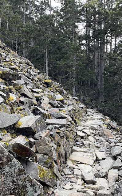 The Ultimate Xueshan (Snow Mountain) Hiking Guide: Permits, Transport & 1–3 Day Itineraries (2026 Edition) 77 boulder field in Black Forest