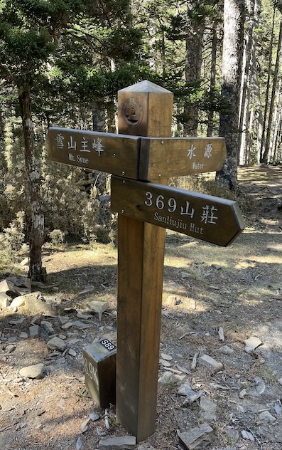 The Ultimate Xueshan (Snow Mountain) Hiking Guide: Permits, Transport & 1–3 Day Itineraries (2026 Edition) 79 Black Forest
