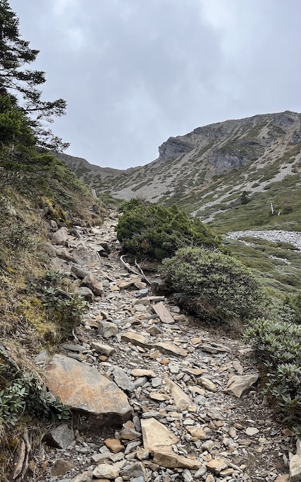The Ultimate Xueshan (Snow Mountain) Hiking Guide: Permits, Transport & 1–3 Day Itineraries (2026 Edition) 81 Out of Black Forest