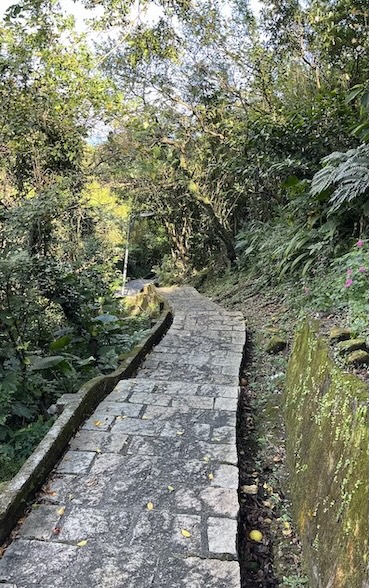 Shanjian Road Trail (山尖路步道): A Hidden Hiking Trail Near Jiufen with a Rare Three-Layer Bridge 14 Shanjian Road Trail