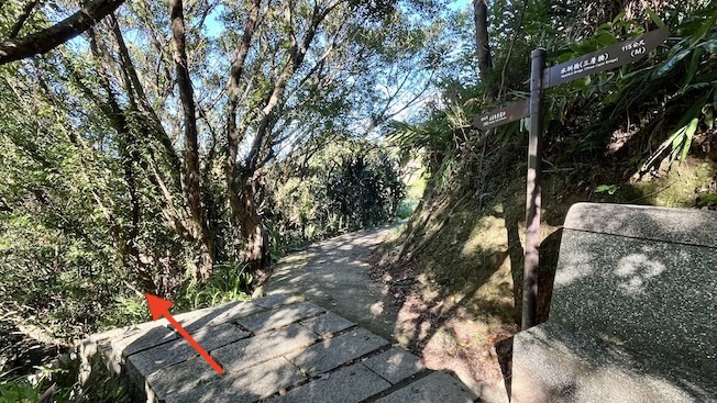 Shanjian Road Trail (山尖路步道): A Hidden Hiking Trail Near Jiufen with a Rare Three-Layer Bridge 31 Shanjian Road Trail