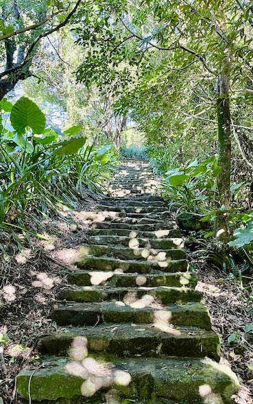 Shanjian Road Trail (山尖路步道): A Hidden Hiking Trail Near Jiufen with a Rare Three-Layer Bridge 34 Shanjian Road Trail
