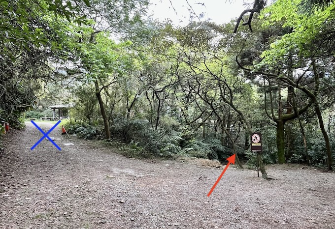 Xia Qigu Wild Hot Spring (下七股野溪溫泉): Yangmingshan’s Most Accessible Natural Hot Spring – Access & Visiting Guide 11 Xia Qigu Wild Hot Spring trail