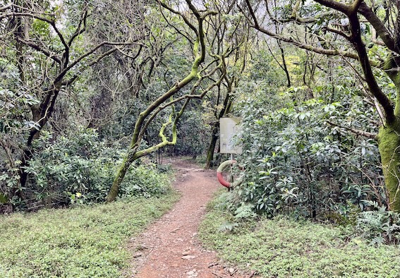 Xia Qigu Wild Hot Spring (下七股野溪溫泉): Yangmingshan’s Most Accessible Natural Hot Spring – Access & Visiting Guide 12 Xia Qigu Wild Hot Spring trail