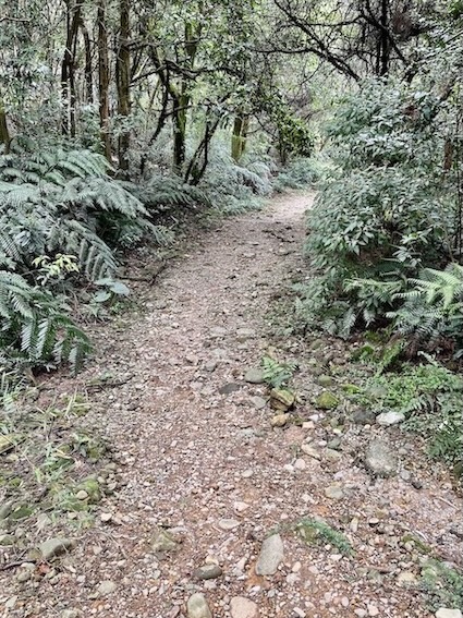 Xia Qigu Wild Hot Spring (下七股野溪溫泉): Yangmingshan’s Most Accessible Natural Hot Spring – Access & Visiting Guide 3 Xia Qigu Wild Hot Spring trail