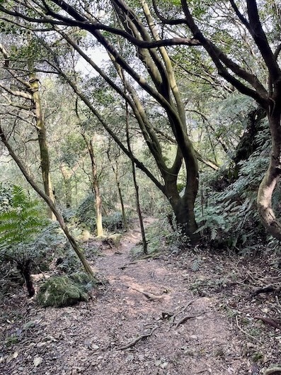 Xia Qigu Wild Hot Spring (下七股野溪溫泉): Yangmingshan’s Most Accessible Natural Hot Spring – Access & Visiting Guide 4 Xia Qigu Wild Hot Spring trail