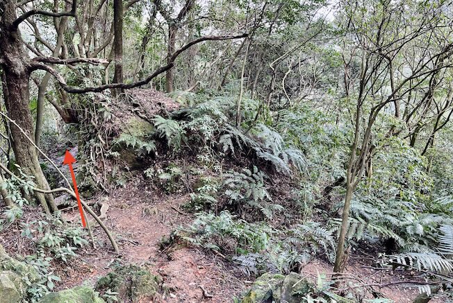 Xia Qigu Wild Hot Spring (下七股野溪溫泉): Yangmingshan’s Most Accessible Natural Hot Spring – Access & Visiting Guide 15 Xia Qigu Wild Hot Spring trail