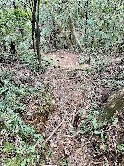 Xia Qigu Wild Hot Spring (下七股野溪溫泉): Yangmingshan’s Most Accessible Natural Hot Spring – Access & Visiting Guide 16 Xia Qigu Wild Hot Spring trail