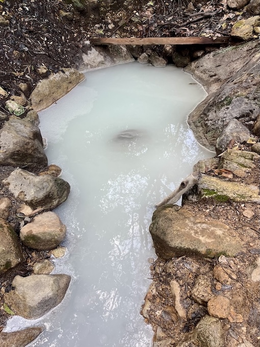 Xia Qigu Wild Hot Spring (下七股野溪溫泉): Yangmingshan’s Most Accessible Natural Hot Spring – Access & Visiting Guide 18 Xia Qigu Wild Hot Spring