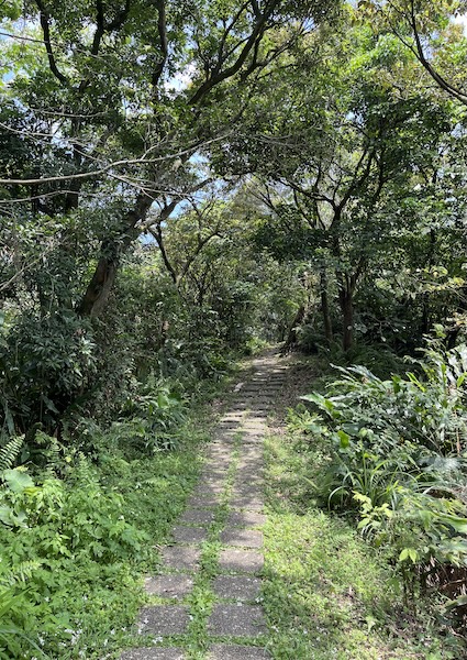 Xiaonangangshan Trail
