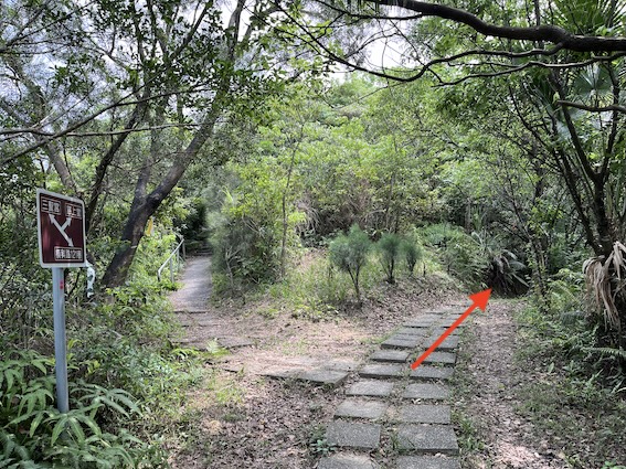 Xiaonangangshan Trail