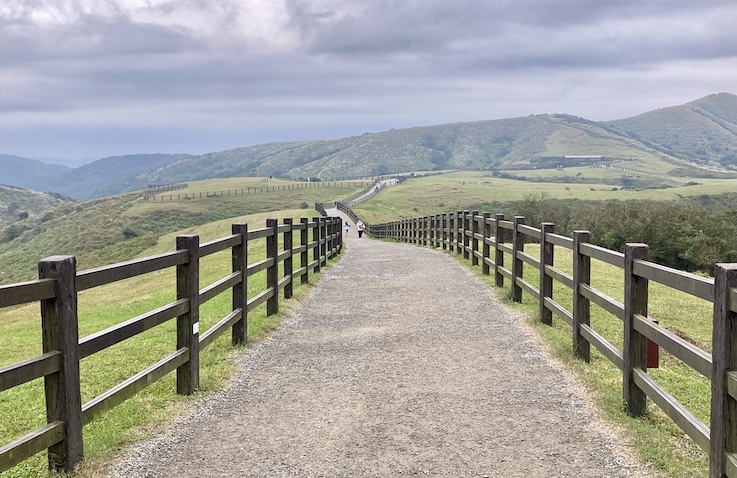 Xia Qigu Wild Hot Spring (下七股野溪溫泉): Yangmingshan’s Most Accessible Natural Hot Spring – Access & Visiting Guide 9 Qingtiangang Grassland