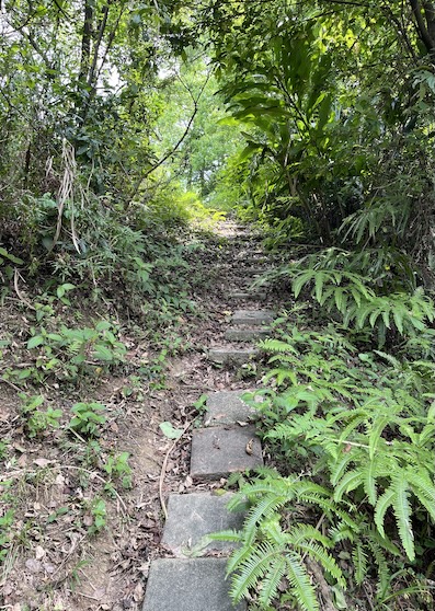 Xiaonangangshan Trail
