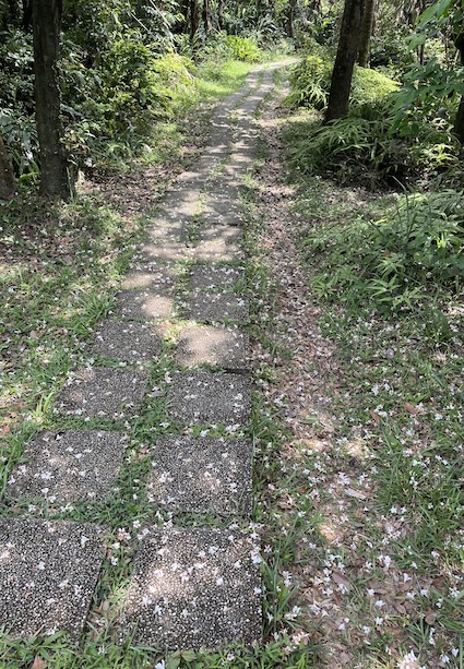 Xiaonangangshan Trail
