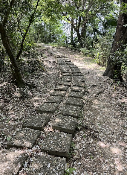 Xiaonangangshan Trail