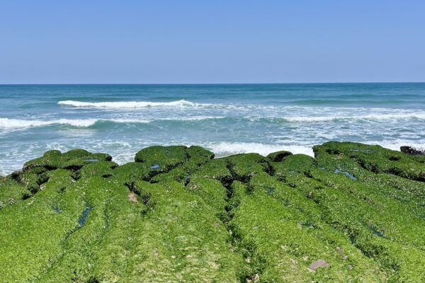 Laomei Green Reef