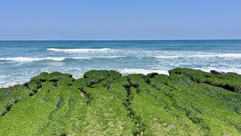 Laomei Green Reef