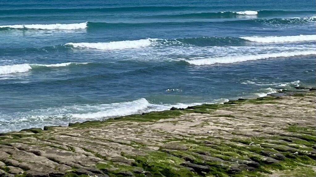 Laomei Green Reef (老梅石槽): Taiwan’s Hidden Matcha Coast You Can Only See in Spring 7 Laomei Green Reef