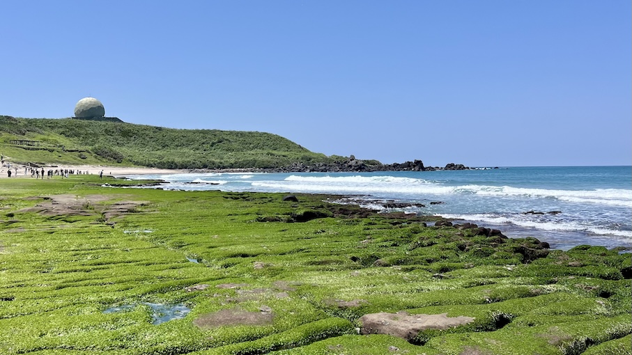 Laomei Green Reef (老梅石槽): Taiwan’s Hidden Matcha Coast You Can Only See in Spring 9 Laomei Green Reef