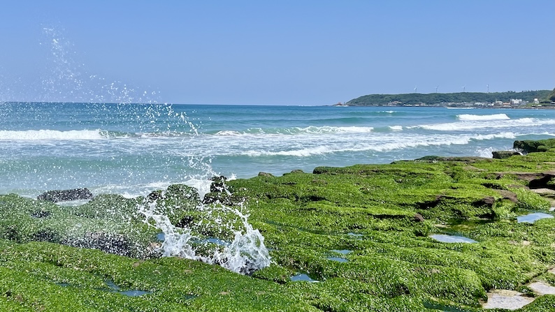 Laomei Green Reef (老梅石槽): Taiwan’s Hidden Matcha Coast You Can Only See in Spring 3 Laomei Green Reef