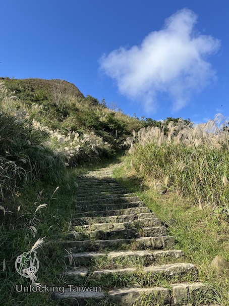Silvergrass-on-Teapot-Mountain-Trail
