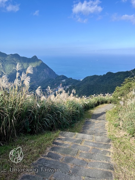 trail-to-Shinto-Shrine