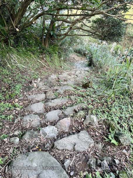 trail-to-Shinto-Shrine
