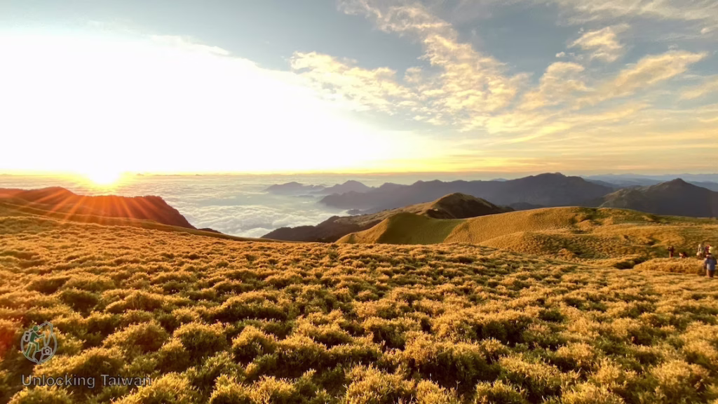 Best First 3,000m+ Hikes in Taiwan for Overseas Hikers 11 Qilai Nanhua