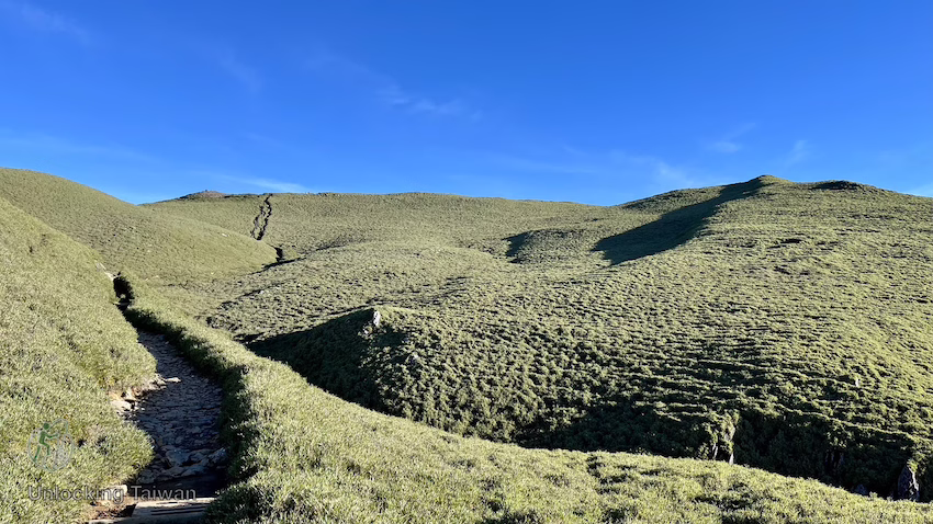 Best First 3,000m+ Hikes in Taiwan for Overseas Hikers 13 Qilai South Peak